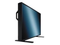 NEC LCD4020 Moniteur LCD MultiSync 40